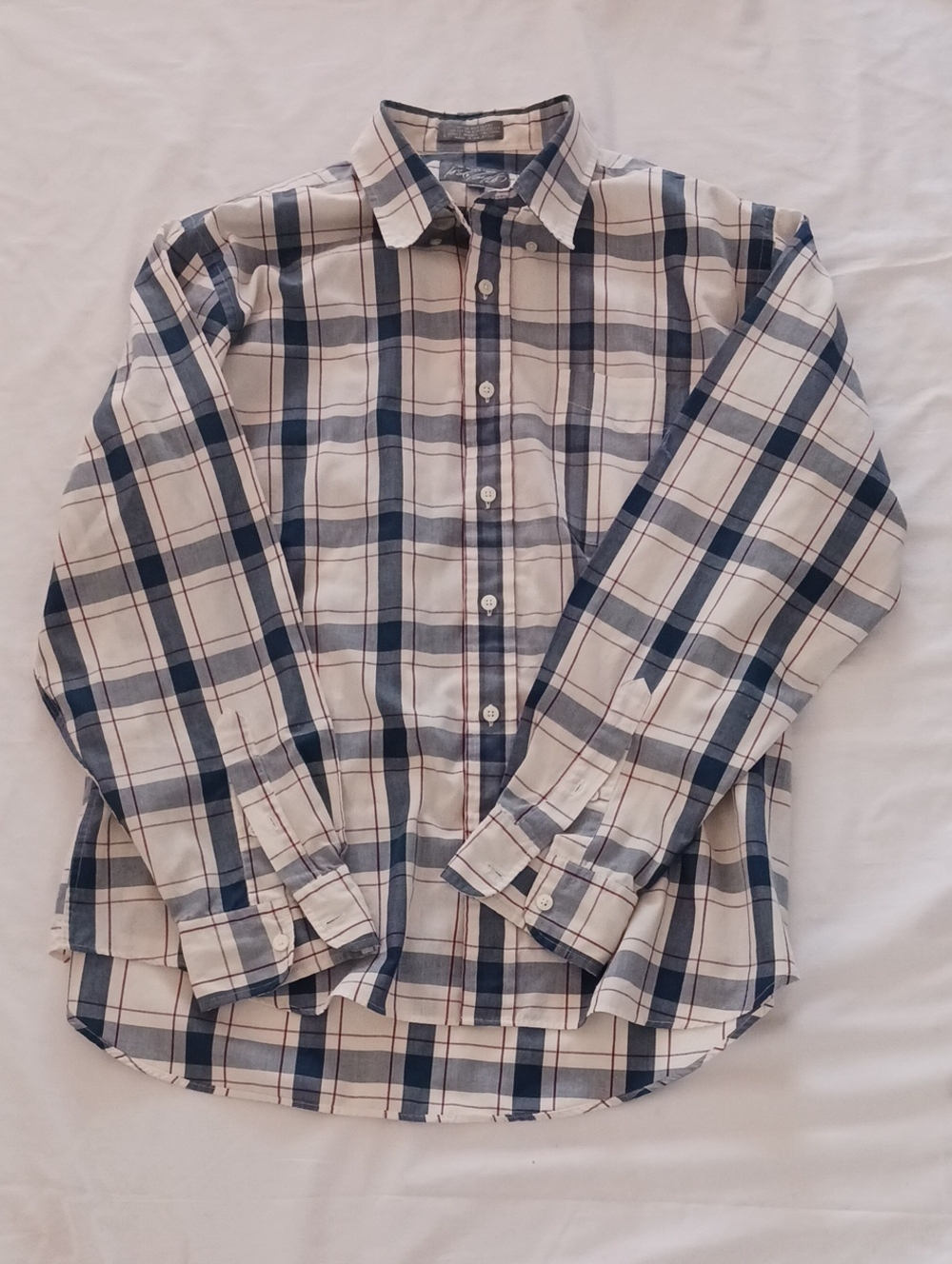 Men's Casual Plaid Button-Down Shirt in Blue and White
